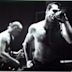 Rollins Band