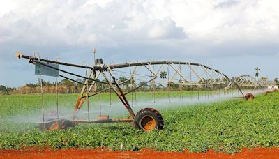 Cuba se vuelca a la energía solar para salvar su producción de alimentos en medio de los apagones