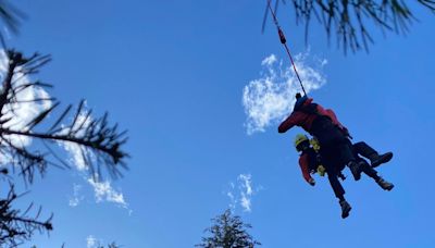 Man airlifted to hospital after bear attack in B.C. Rockies: RCMP