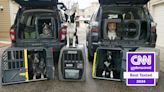 The best crash-tested dog crates in 2024, tried and tested | CNN Underscored