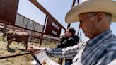 Beef is a way of life in Texas, but it's hard on the planet. This rancher thinks she can change that