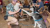 Larry Fest unites good dogs and good beer for a good time