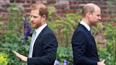 Prince Harry, Prince William Haven’t Had 'Real Conversation in Months’