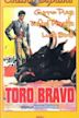 Toro bravo