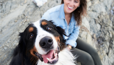 Want to improve your dog’s behavior? This one simple tip will change everything