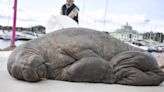 Life-Size Sculpture Of Euthanized Walrus Unveiled In Norway