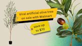 Walmart just slashed the price of the viral artificial olive tree today, now $40