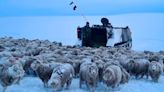 Alertan sobre la probabilidad de “nevadas abundantes” sobre el oeste y sur del país