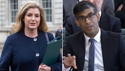 Penny Mordaunt fuels rumours she is 'on manoeuvres' to succeed Rishi Sunak - as PM faces local elections catastrophe - with Commons Leader revealing she has visited 70 Tory ...