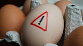 11 Signs Eggs Are Not Safe To Eat