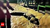 9-foot-long croc rescued in Bhayali | Vadodara News - Times of India