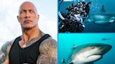 Shark Week 2022: A Complete Guide to Discovery's Annual Summer TV Event
