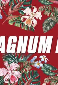 Magnum P.I.