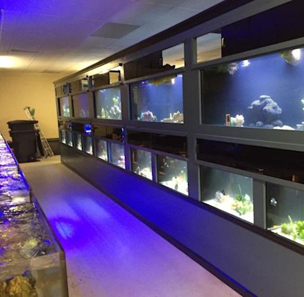 Aquariums Wholesale Olathe Yahoo Local Search Results