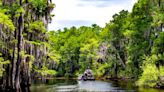 Astonishing footage shows transformation in key part of the Florida Everglades: ‘It’s absolutely amazing’