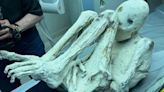 'Pregnant' alien mummies in Peru to be tested to see if they are really ETs