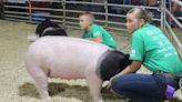 Cash was ‘some pig’ for all the wrong reasons at Lincoln County Fair