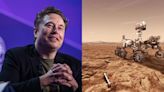 Elon Musk diz que em 30 anos humanos vão colonizar Marte