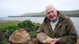 How to watch Attenborough and the Giant Sea Monster online or on TV