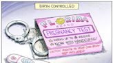 Birth controlled - The Boston Globe