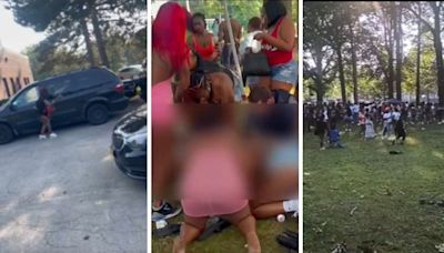 Video: Mass Shootout In New York Park, 1 Dead 6 Injured