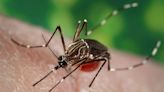 Maryland health officials report resident with locally acquired malaria