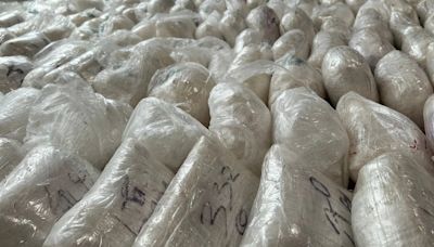 Un miembro del cártel de Sinaloa escondía en un chalé de Valencia la mayor guardería de metanfetamina en España: 1.800 kilos