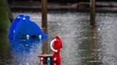 France sends dyke system to help with flooding in Germany