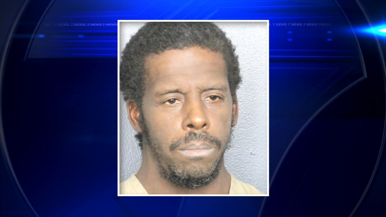 Man charged with grand theft auto after leading BSO on pursuit on Florida Turnpike appears in court - WSVN 7News | Miami News, Weather, Sports | Fort Lauderdale