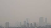 La Jornada: Respira aire muy contaminado 99% de la población: OMS