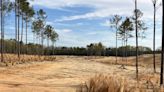 Broomsedge Sweeps Golf Into Underserved Area Of The Carolina Sandhills