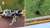 Man revs his motorcycle at 6.40am in Woodlands estate, throws helmet and leaves after 50 mins