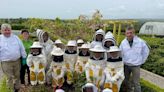 Wexford pupils are buzzing after appearing on RTÉ for World Bee Day