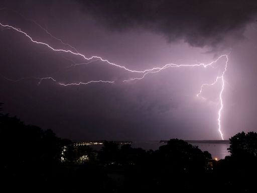 Rancher and 34 cows shockingly killed in lightning strike: ‘It hit them all’