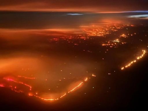 Representative Ronny Jackson introduces legislation in effort to help Texas cattle ranchers recover from wildfires