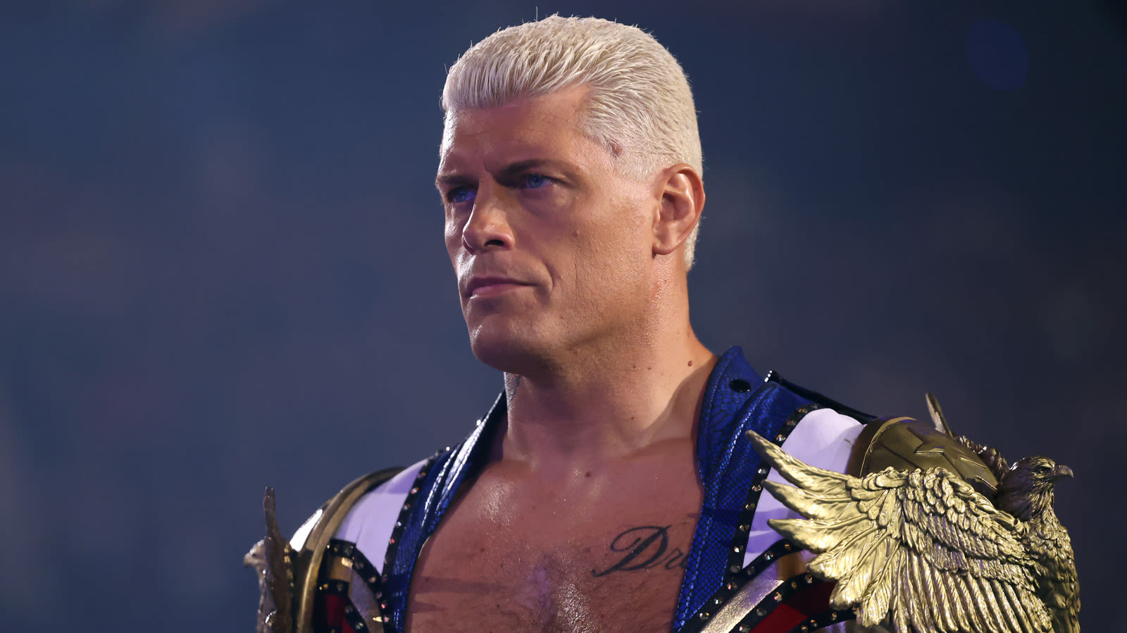 Cody Rhodes Addresses His Challenge To The Rock At WWE Elimination Chamber 2024 - Wrestling Inc.