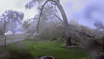 Watch: Michigan tornado flattens 'every single tree on property' in 45 seconds