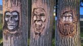 Who is carving faces into these trees? The town of Welland, Ont., and local police want to know | CBC News