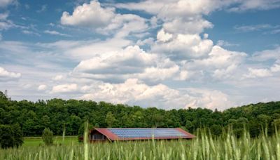 Solar Lease vs. Power Purchase Agreement: Which Is a Better Deal?
