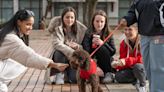 Who lives in NJ college dorms these days? Cats, dogs, gerbils, rabbits. But no tarantulas