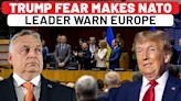 NATO Leader's Scared Warning To Europe: Wants Zelensky Dumped Over Trump Win Impact On Russia War