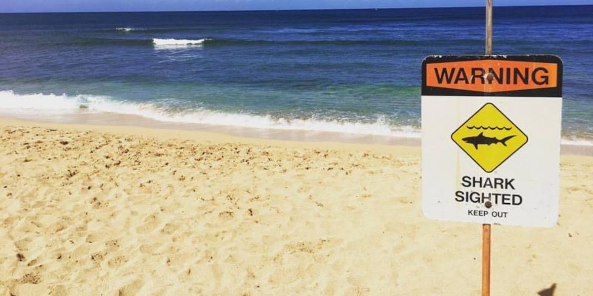 Shark warning signs posted across several Oahu beaches
