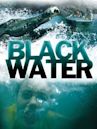 Black Water