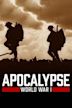 Apocalypse : La 1ère Guerre mondiale