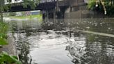 Cars submerged in Shively as flash flooding hits Louisville