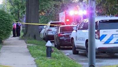 Homicide under investigation in St. Louis' Penrose neighborhood