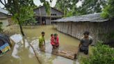 Assam flood: Kaziranga National Park, Dibrugarh remain submerged, death toll reaches 35