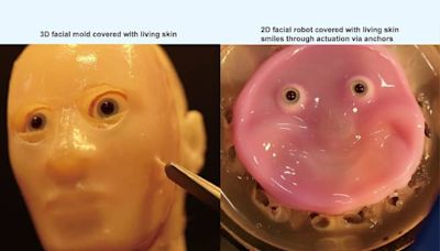 Así se ve el robot que crearon en Japón con rostros hechos de piel “viva”