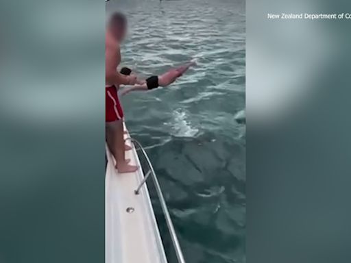 ‘Shocking disregard’: Man caught on camera body slamming orca, faces $600 fine