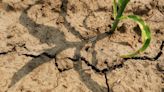 Parts of Delaware are in moderate drought, with record-low precipitation levels